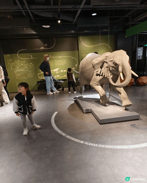 台北科學館， 地方大又多野玩， 5歲小朋友都好多野岩， 睇既...