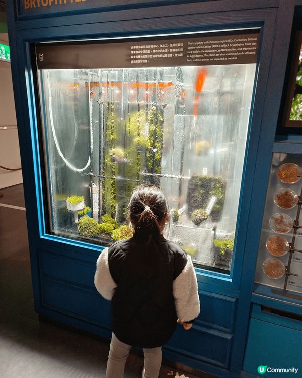 台北科學館， 地方大又多野玩， 5歲小朋友都好多野岩， 睇既...