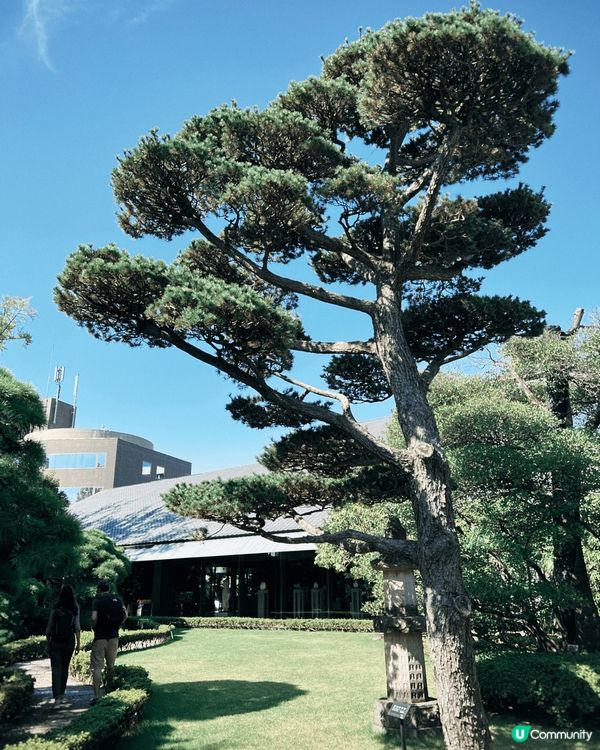 日本東京建築博物館非常之適合春日打卡