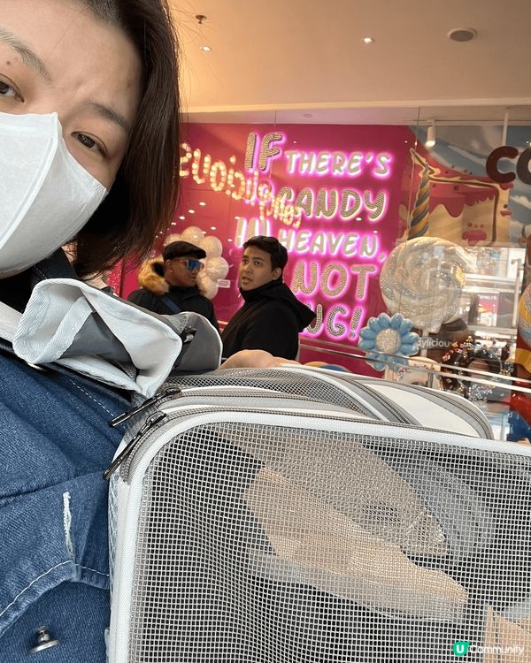 春天天氣清爽，最岩帶主子上山頂吹吹風，享受一個舒適愉快既下午...