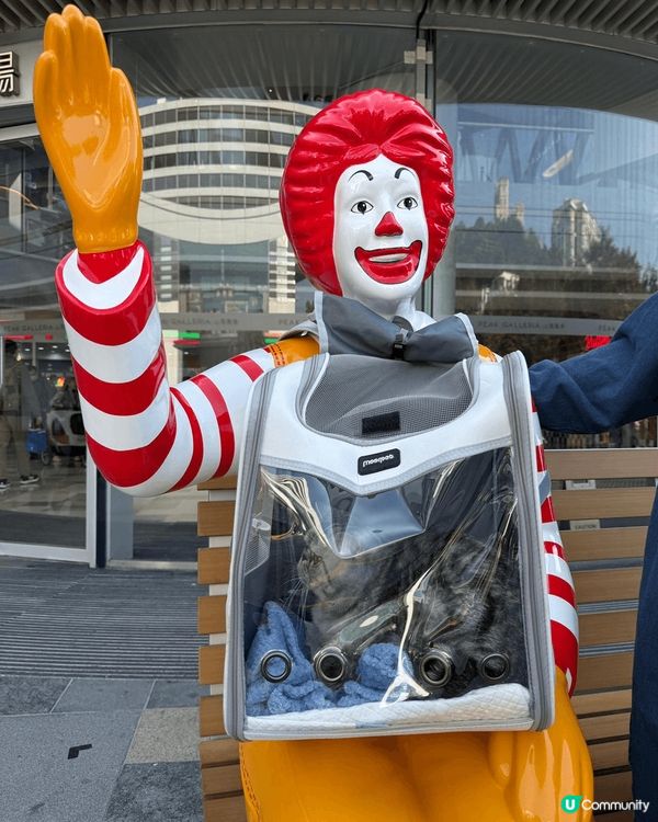 春天天氣清爽，最岩帶主子上山頂吹吹風，享受一個舒適愉快既下午...