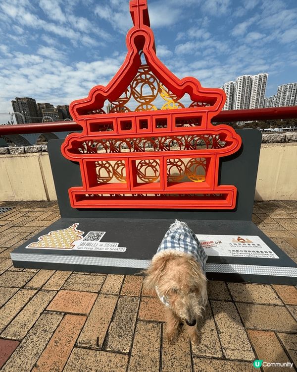 留港可以去城門河行吓，仲可以去大埔燒烤，北上天氣仲有啲凍，可...