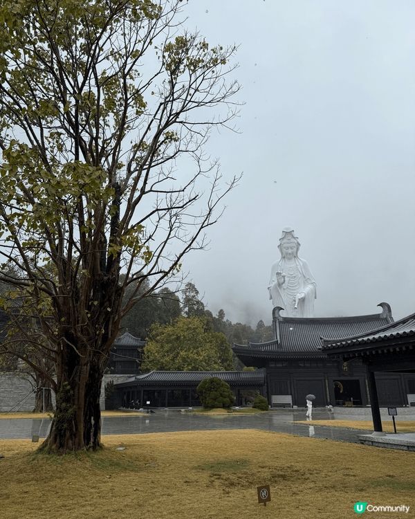 位於大埔嘅慈山寺景色優美，空氣清新，而且充滿咗唔同種類嘅植物...