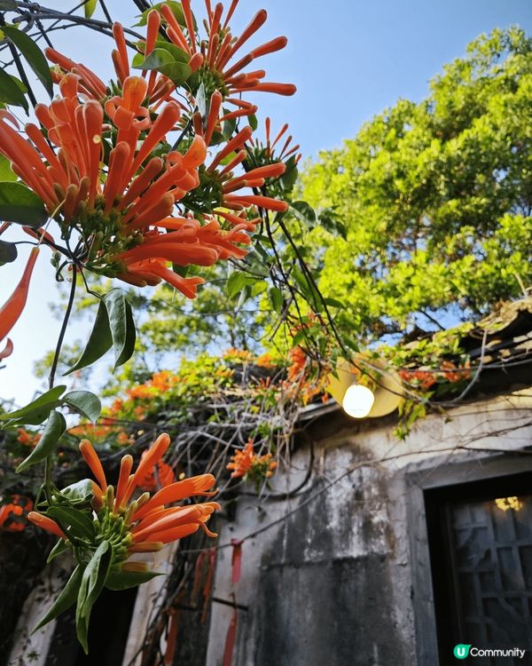 深圳客家古村落：甘坑古鎮