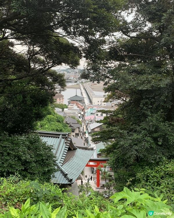 日本江之島一日遊！充滿當地文化氣息嘅地方 身心relax好去...