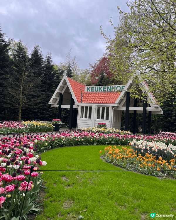 春日一定要介紹荷蘭!因為3-5月係荷蘭既花季,Keukenh...