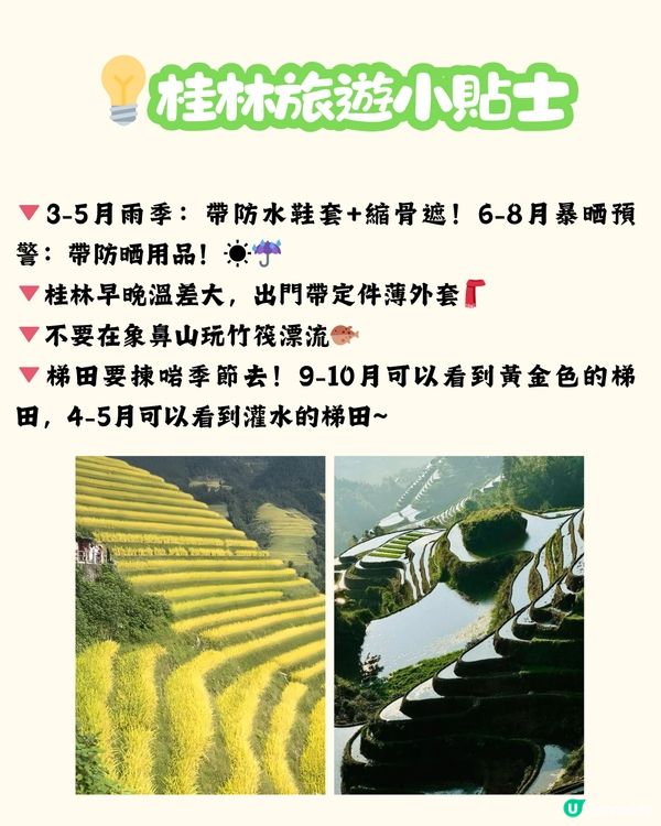 桂林三日兩夜超全攻略 打卡象鼻山/遇龍河竹筏漂流！ 附美食攻略‼️