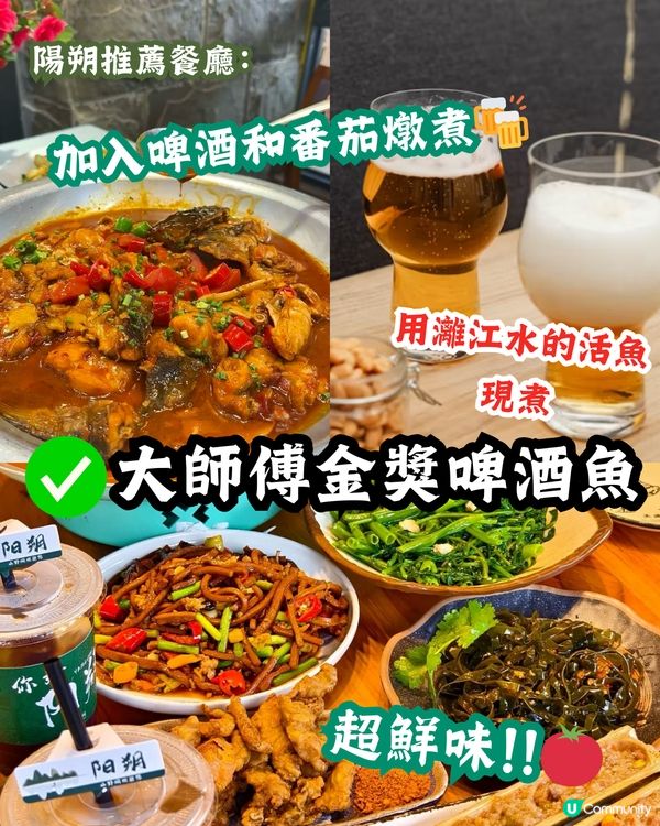 桂林三日兩夜超全攻略 打卡象鼻山/遇龍河竹筏漂流！ 附美食攻略‼️