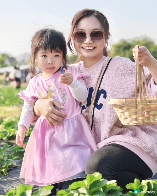 錦田鄉村俱樂部打卡一流！春季天氣好舒服😌影到好多靚相！