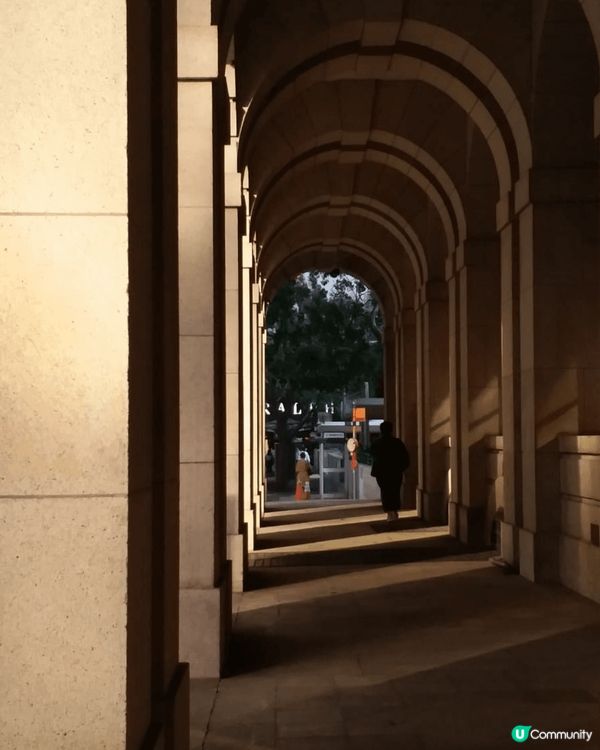 中環街市熊貓快閃，前立法局黃昏影，叮噹隨意門