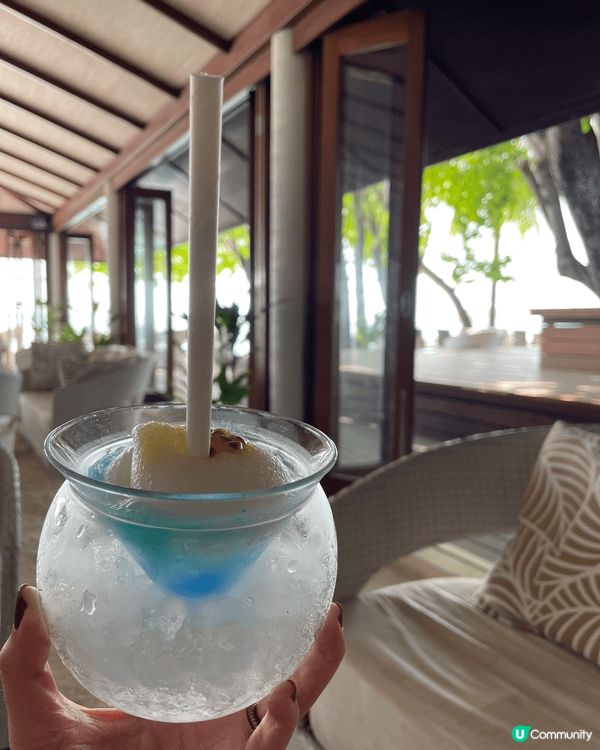 係椰林樹影水清沙幼嘅馬爾代夫一定要食到飽玩到盡,日日飲飽食醉...