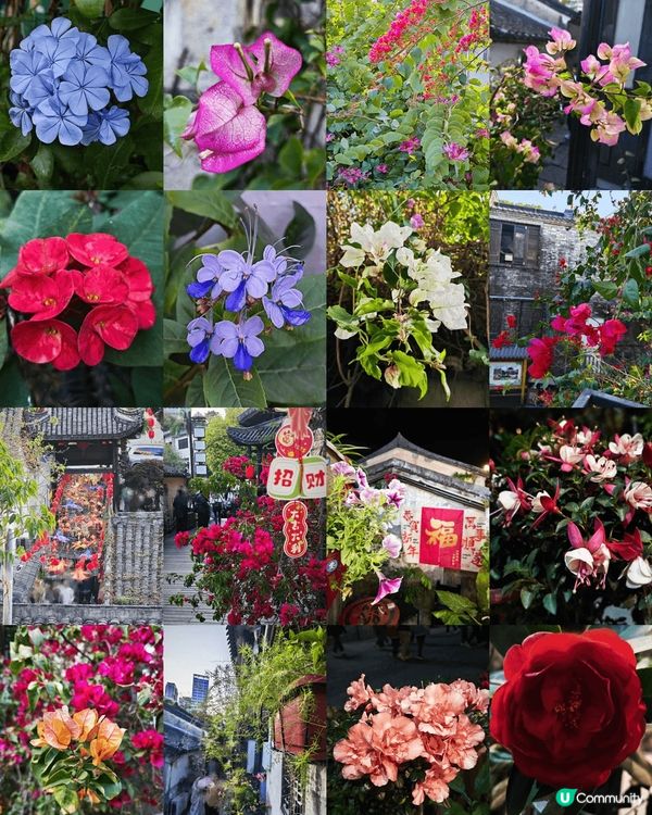 深圳客家古村落：甘坑古鎮