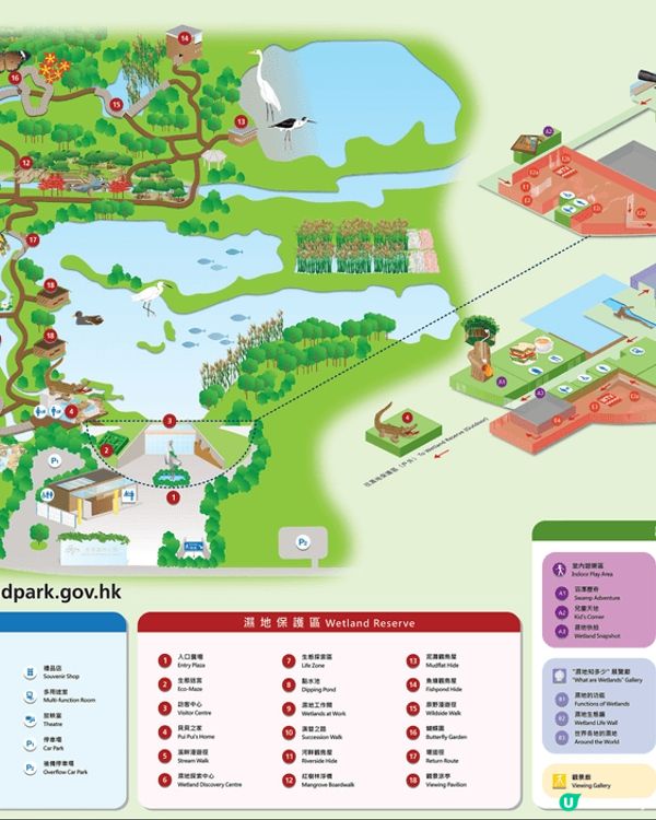 大家熟悉又陌生嘅打卡熱點:香港濕地公園🏞️🌿