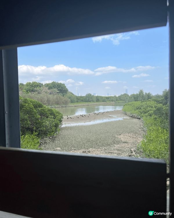 大家熟悉又陌生嘅打卡熱點:香港濕地公園🏞️🌿