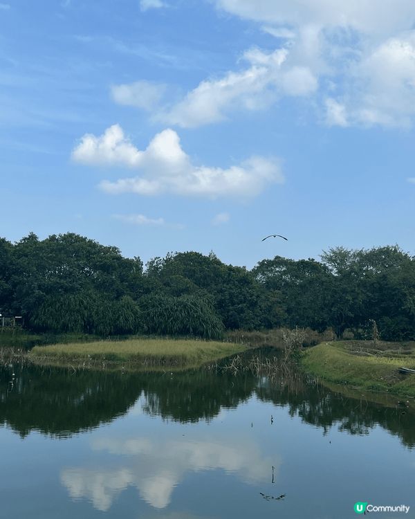 大家熟悉又陌生嘅打卡熱點:香港濕地公園🏞️🌿