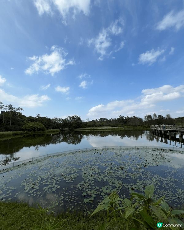 大家熟悉又陌生嘅打卡熱點:香港濕地公園🏞️🌿