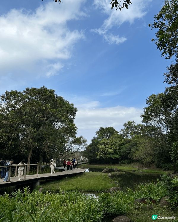 大家熟悉又陌生嘅打卡熱點:香港濕地公園🏞️🌿