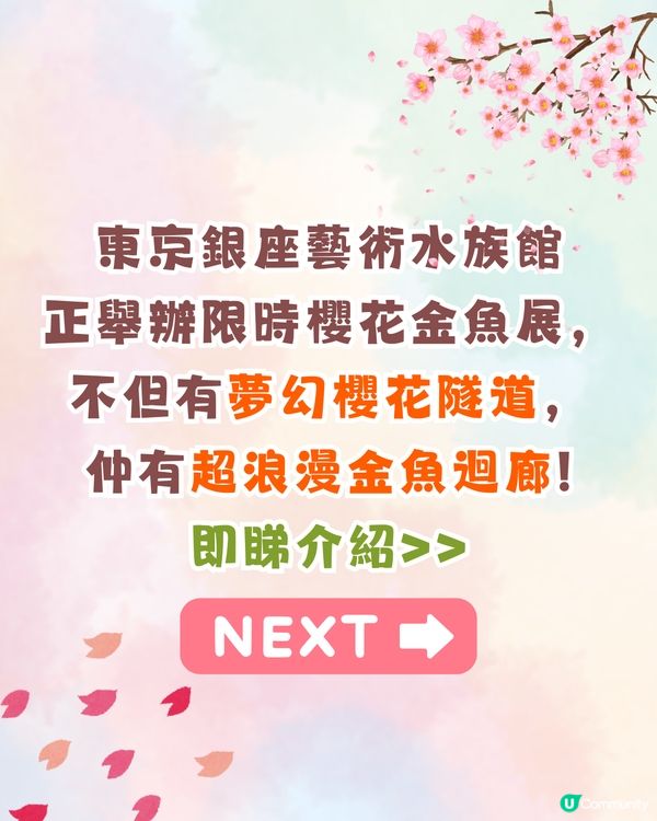2025東京銀座櫻花x金魚限定藝術展❗夢幻櫻花隧道+垂櫻金魚瀑布🌸附活動日期/票價/交通資訊