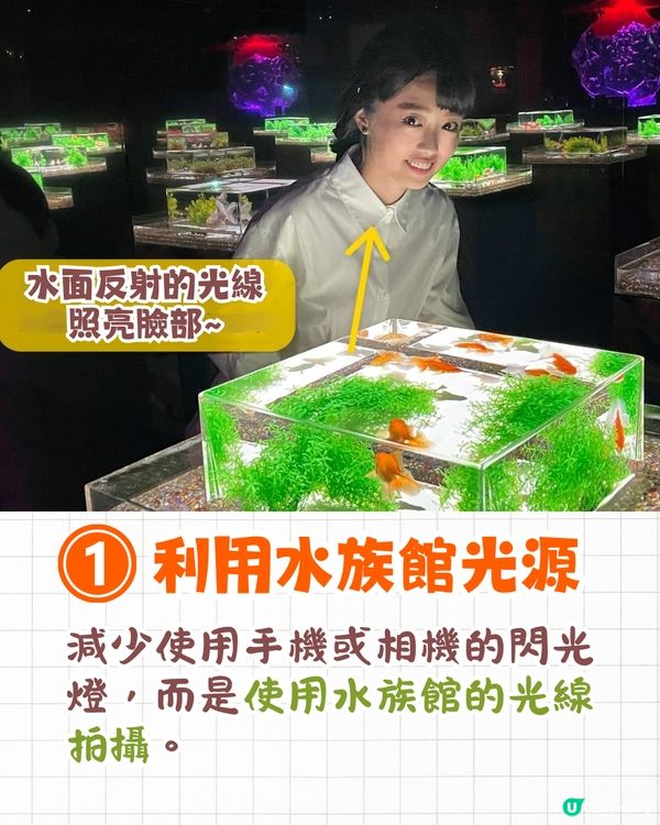 2025東京銀座櫻花x金魚限定藝術展❗夢幻櫻花隧道+垂櫻金魚瀑布🌸附活動日期/票價/交通資訊