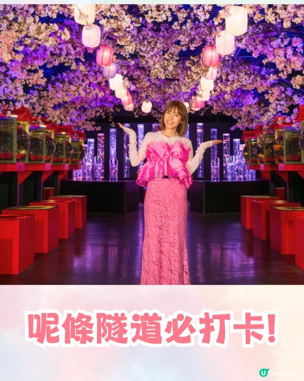 2025東京銀座櫻花x金魚限定藝術展❗夢幻櫻花隧道+垂櫻金魚瀑布🌸附活動日期/票價/交通資訊