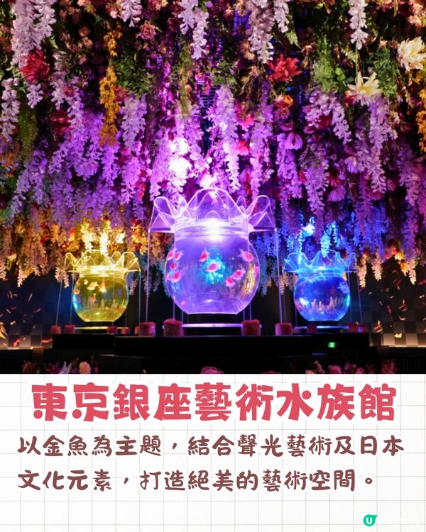 2025東京銀座櫻花x金魚限定藝術展❗夢幻櫻花隧道+垂櫻金魚瀑布🌸附活動日期/票價/交通資訊