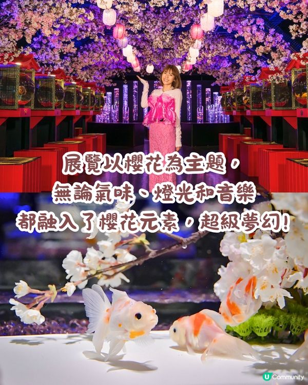2025東京銀座櫻花x金魚限定藝術展❗夢幻櫻花隧道+垂櫻金魚瀑布🌸附活動日期/票價/交通資訊