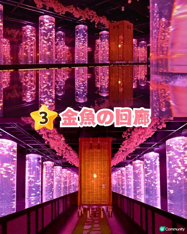 2025東京銀座櫻花x金魚限定藝術展❗夢幻櫻花隧道+垂櫻金魚瀑布🌸附活動日期/票價/交通資訊
