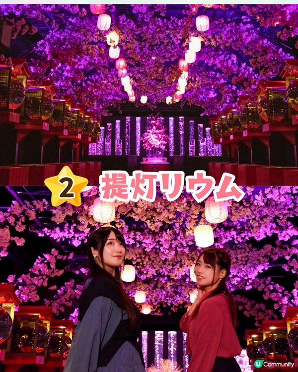 2025東京銀座櫻花x金魚限定藝術展❗夢幻櫻花隧道+垂櫻金魚瀑布🌸附活動日期/票價/交通資訊