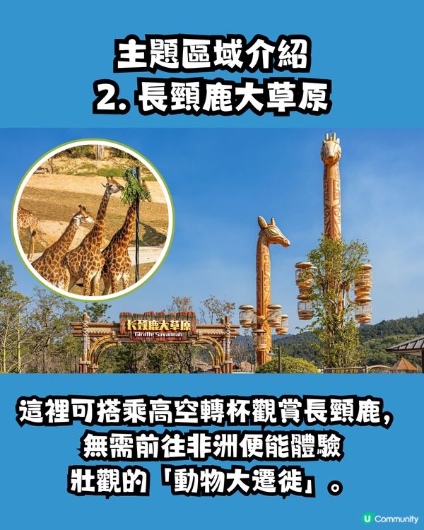 清遠長隆森林王國🦒9大主題區域+必試復古蒸汽火車穿越非洲 附酒店交通資訊