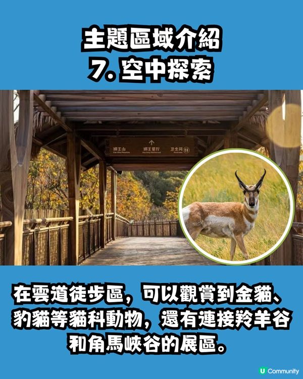 清遠長隆森林王國🦒9大主題區域+必試復古蒸汽火車穿越非洲 附酒店交通資訊