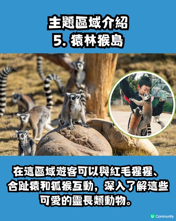 清遠長隆森林王國🦒9大主題區域+必試復古蒸汽火車穿越非洲 附酒店交通資訊