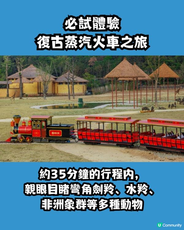 清遠長隆森林王國🦒9大主題區域+必試復古蒸汽火車穿越非洲 附酒店交通資訊