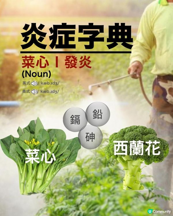 菜心，竟評為「最污糟」嘅蔬菜 ⚠️