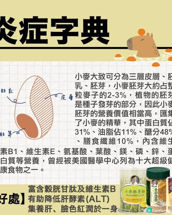 【超級食物你一定聽過】令你面色紅潤、護肝抗癌、提升免疫力🥘
