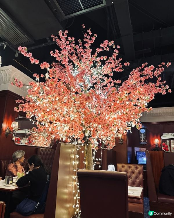 懷舊港式西餐😚 The Starred