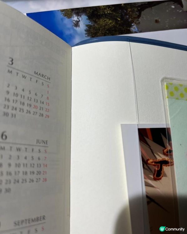 Funbid 代購motoka schedule book