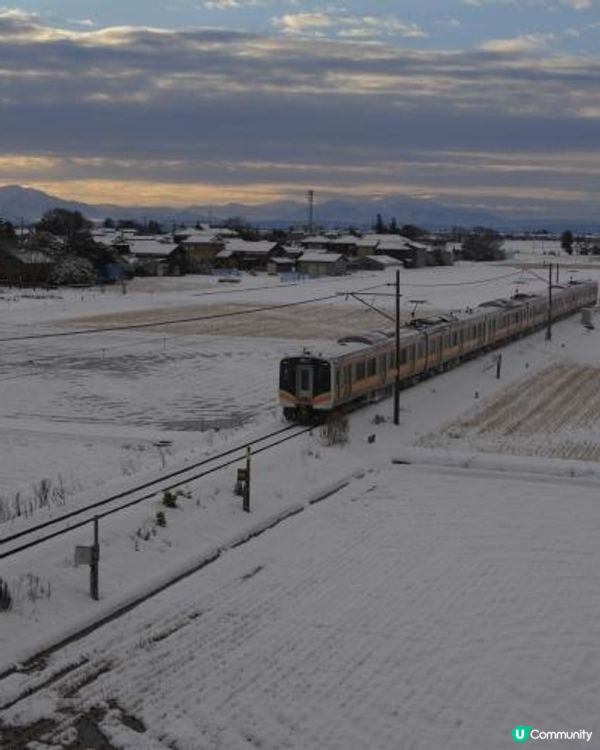 雪中火車，浪漫指引 ✨