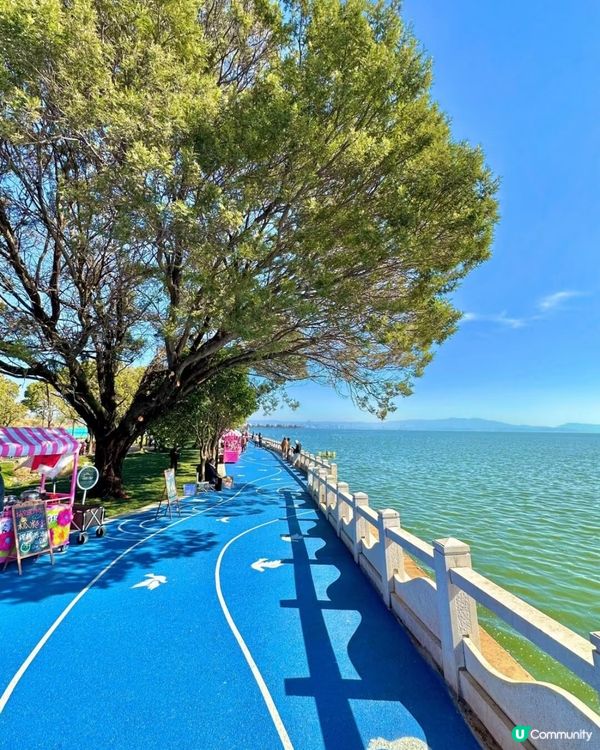 麗江古城，夢幻之旅 🏔️