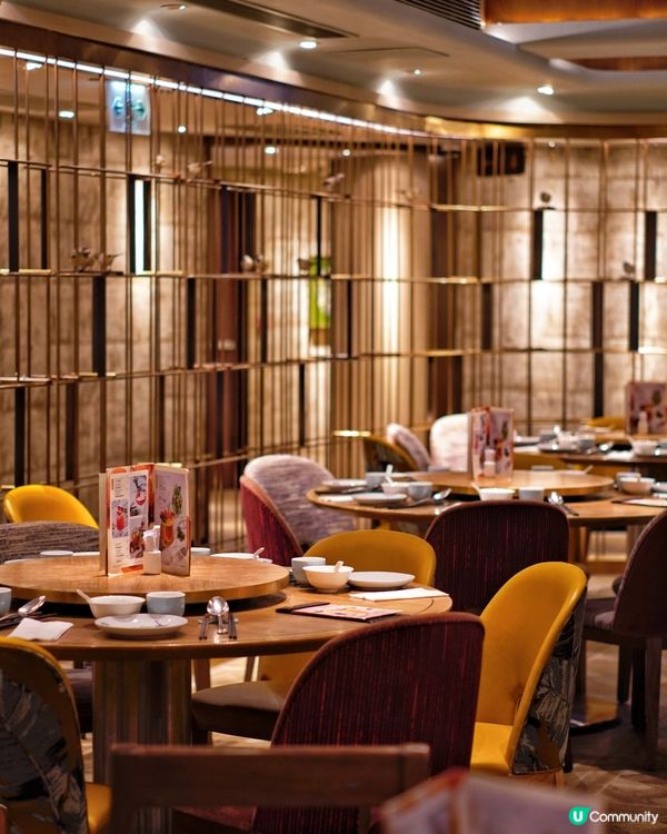 銅鑼灣八月花 青海美食之旅 🥢😋