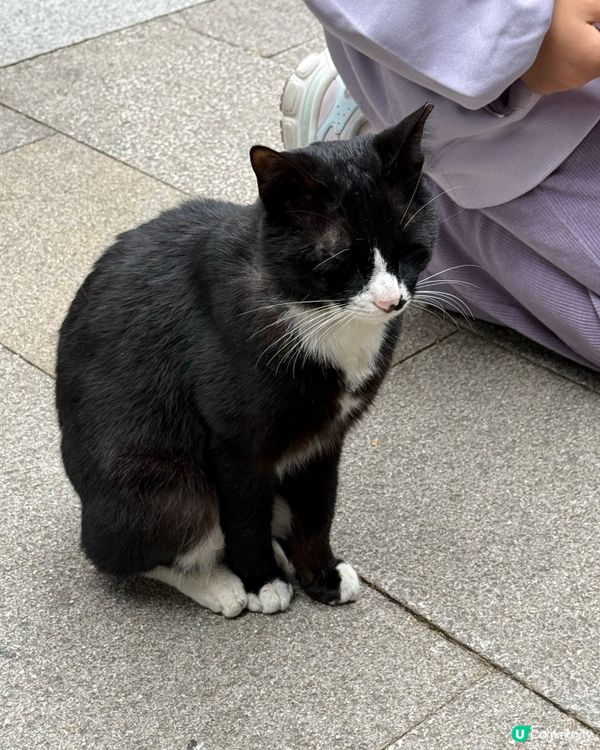 深圳仙湖植物園- 動物篇