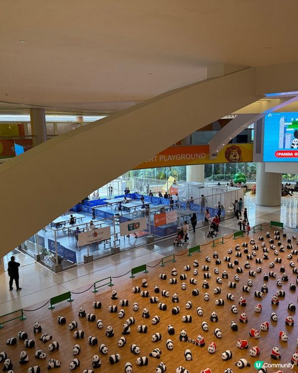 愉景新城商場熊貓