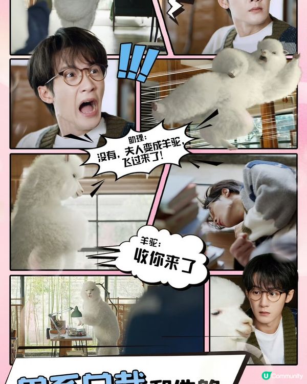 《濾鏡🪞》集集有笑料😆好顛既一套陸劇