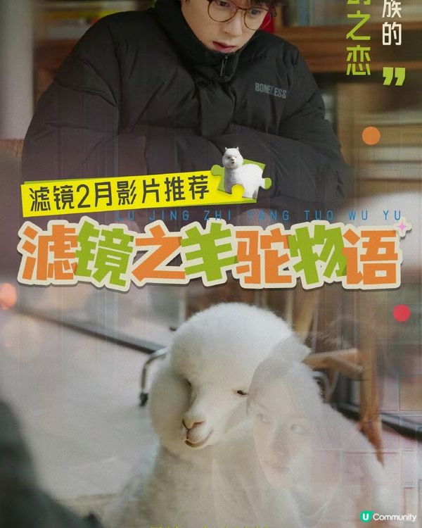 《濾鏡🪞》集集有笑料😆好顛既一套陸劇