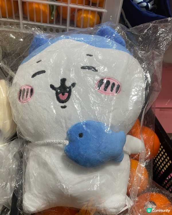 紅磡佛心公仔店bulabula