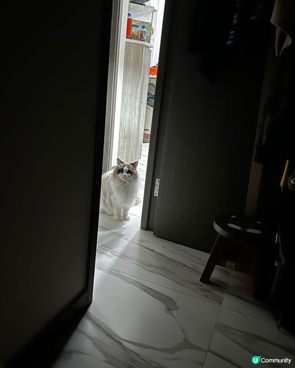 Er…你唔好赫我啦 Bubu