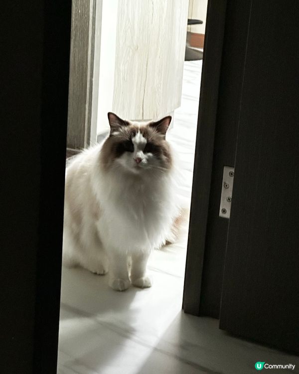 Er…你唔好赫我啦 Bubu