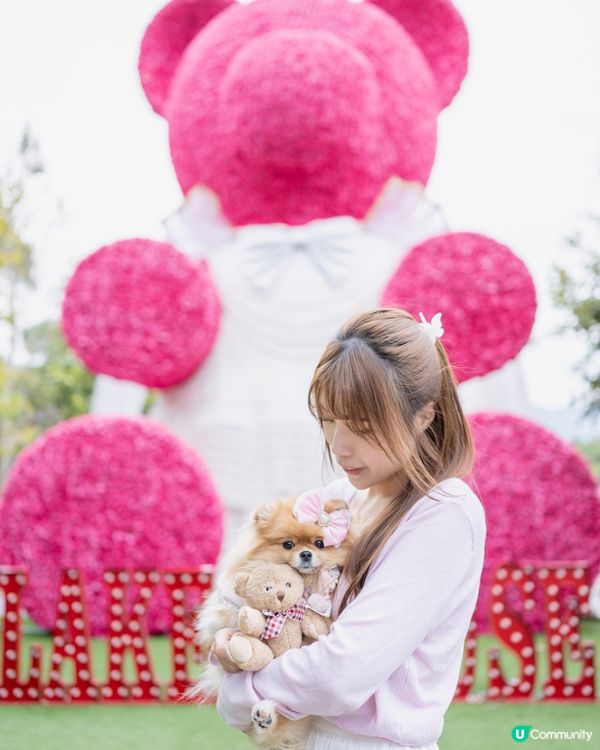 巨大粉紅熊啤啤 入場送小熊俾毛孩🥰