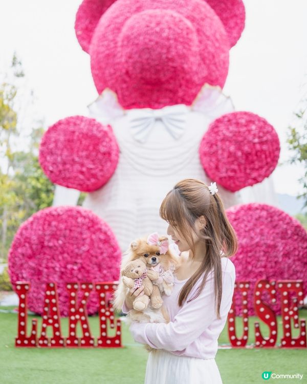 巨大粉紅熊啤啤 入場送小熊俾毛孩🥰