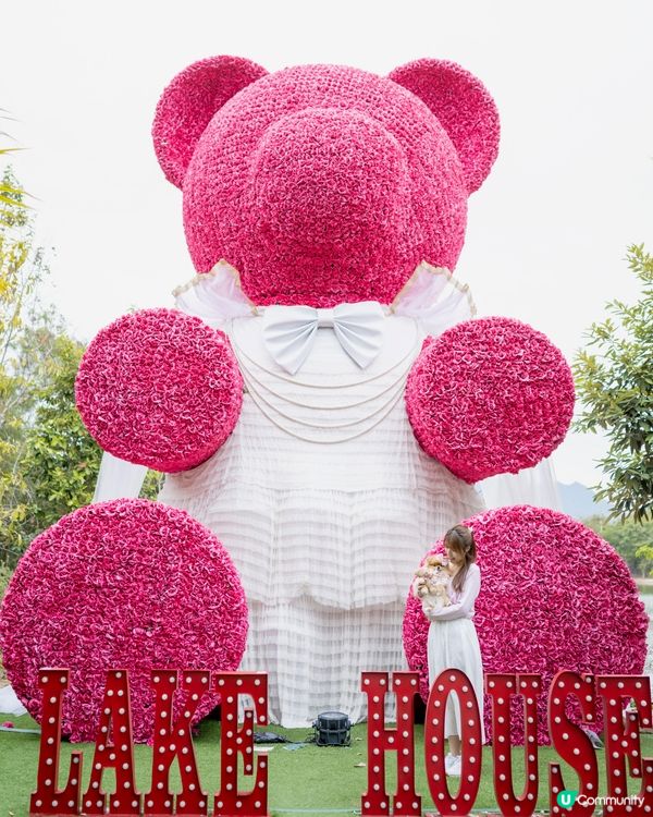 巨大粉紅熊啤啤 入場送小熊俾毛孩🥰