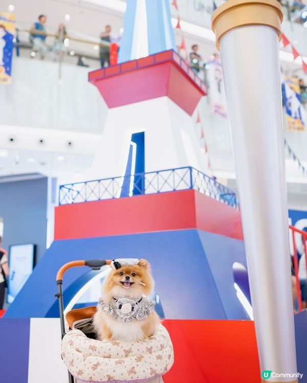 米蘇蘇嚟到巴黎現場睇奧運🤩